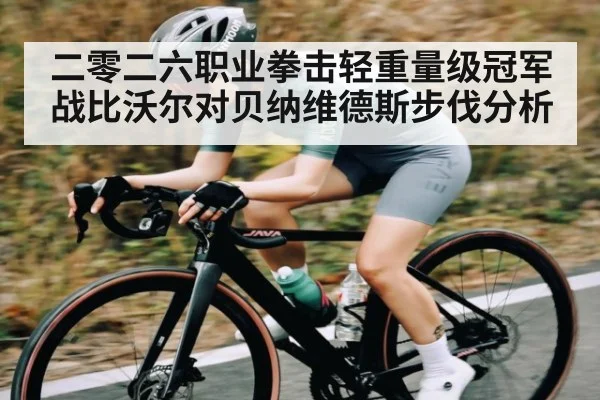 二零二六职业拳击轻重量级冠军战比沃尔对贝纳维德斯步伐分析