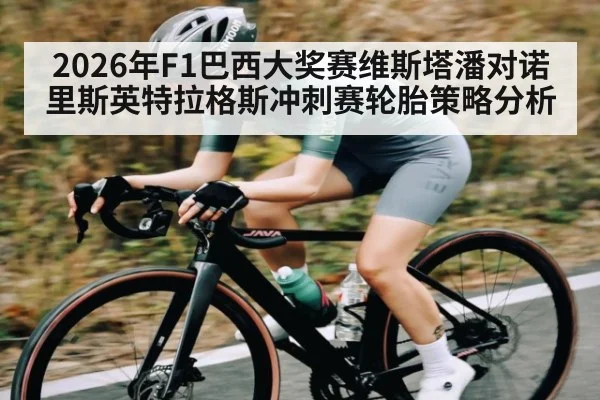 2026年F1巴西大奖赛维斯塔潘对诺里斯英特拉格斯冲刺赛轮胎策略分析